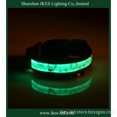 Durable Charm Nylon Dog Collar for Training and Hunting
